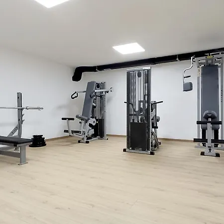Apartament Olive Tree 10 Budva